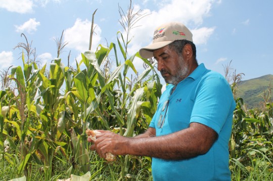 Mejoras en vialidad agrícola y agua Garantizan sacar cosecha de maíz y papa