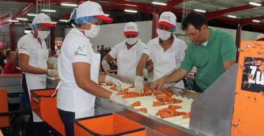 Gobierno Bolivariano inauguró en Carabobo  Centro de Acopio Mixto