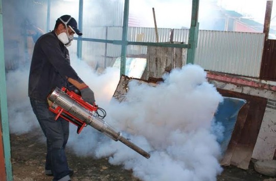  Casos de dengue en Carabobo disminuyeron 77,40% en 2016